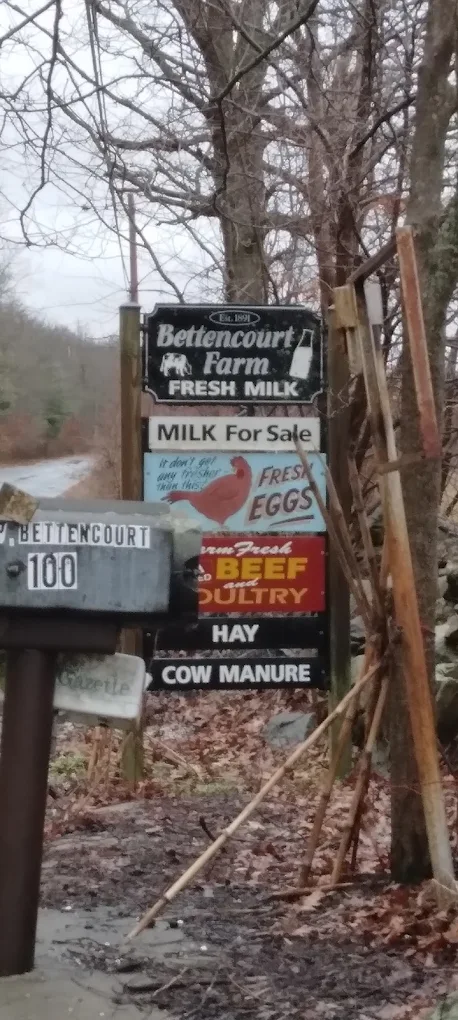 Bettencourt Dairy Farm - Bettencourt Dairy Farm - Fresh Products